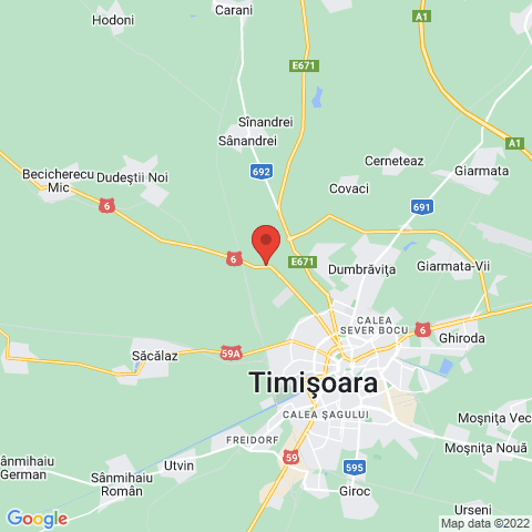 Timisoara, Timis