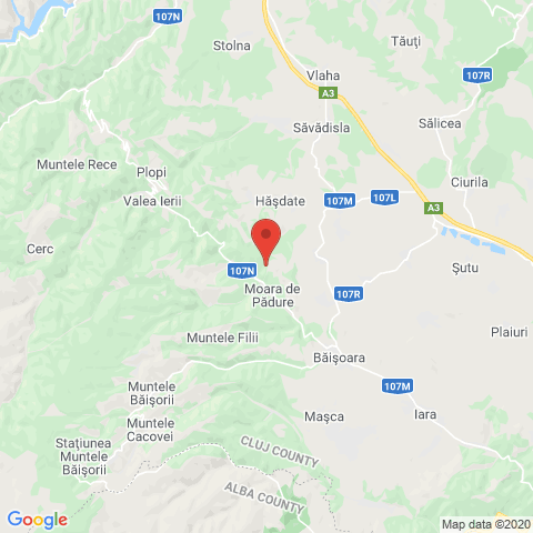 Moara de Padure, Cluj