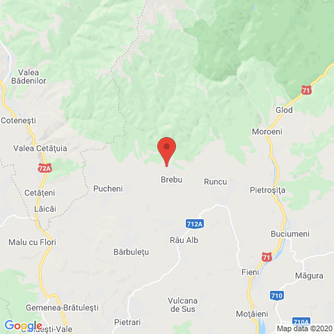 brebu/runcu, Dambovita