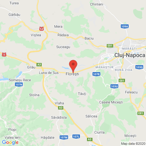 Floresti, Cluj