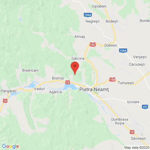 Piatra Neamț , Neamt