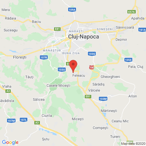 Feleacu, Cluj