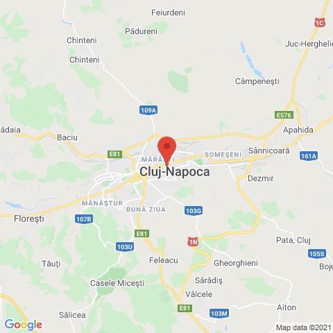 Cluj-Napoca, Cluj