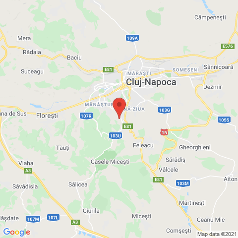 Cluj-Napoca, Cluj