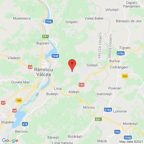 Râmnicu Vâlcea , Valcea