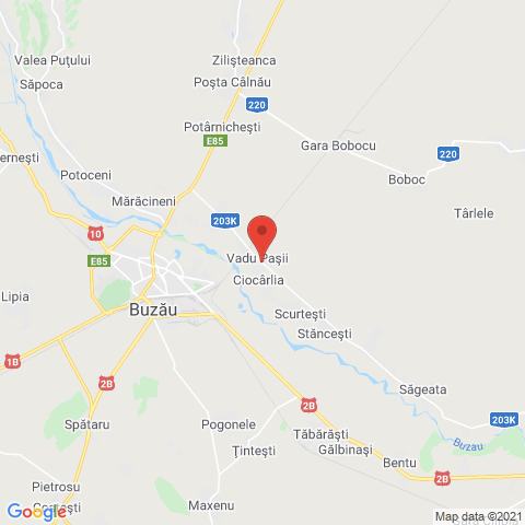 Vadu Pasii, Buzau
