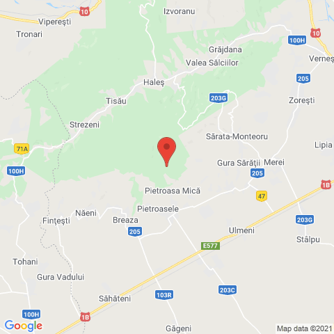 Pietroasa Mica, Buzau