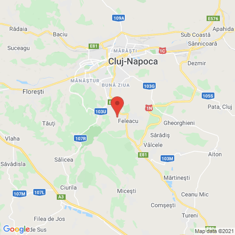 Feleacu, Cluj