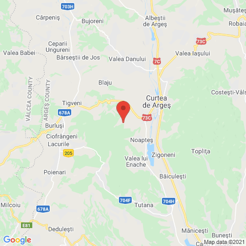 Curtea de Arges, Arges