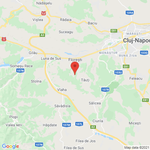 Florești , Cluj