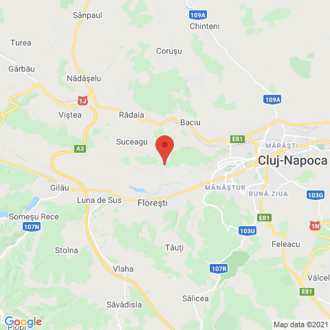 Cluj-Napoca, Cluj