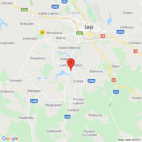 Lunca Cetatuii, Iasi