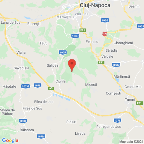Cluj-Napoca, Cluj