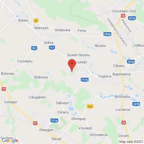 Bilciuresti, Dambovita