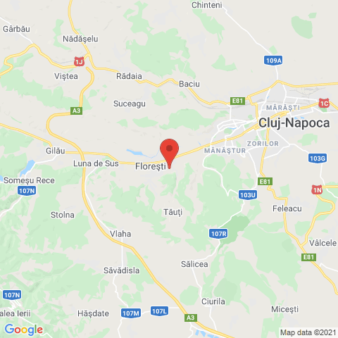Floresti, Cluj