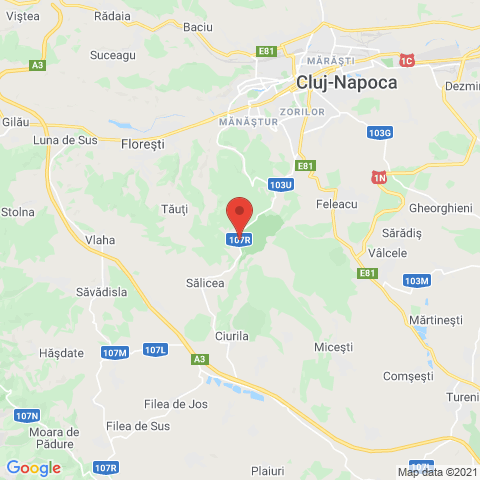 Cluj napoca, Cluj
