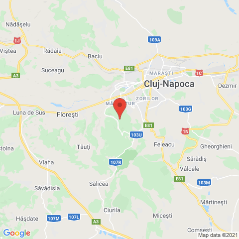Cluj-Napoca, Cluj