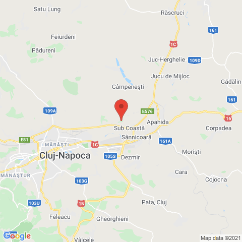 Cluj-Napoca, Cluj
