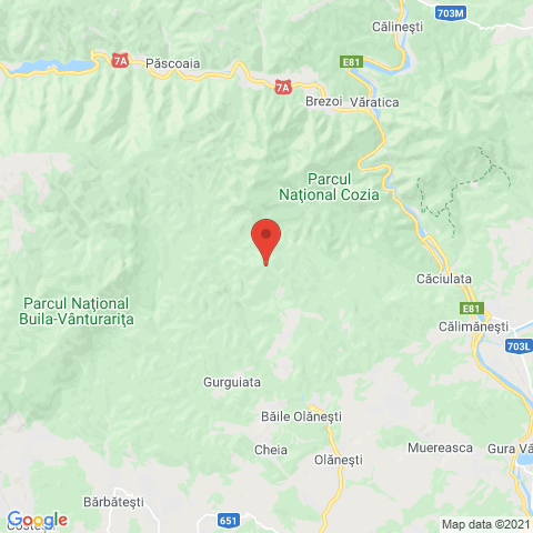 Baile Olanesti , Valcea