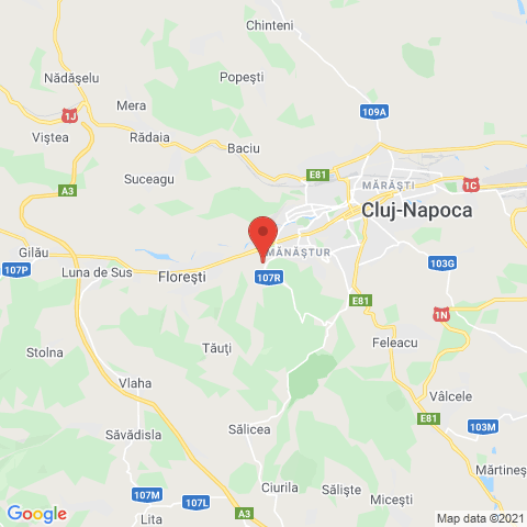 Floresti, Cluj
