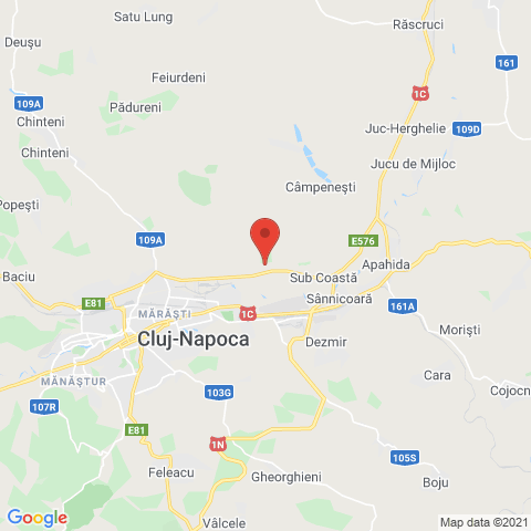Cluj-Napoca, Cluj
