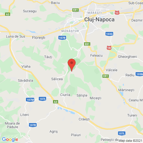 Casele Micesti - Salicea, Cluj