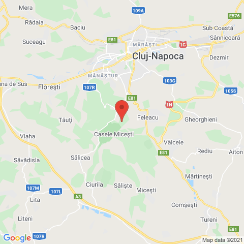 Feleacu, Cluj