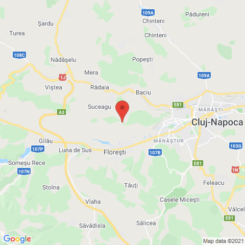 Cluj-Napoca, Cluj