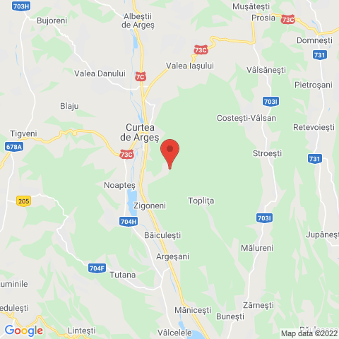 Curtea de Arges, Arges