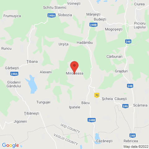 Mironeasa, Iasi