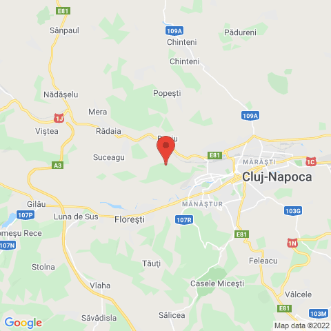 Cluj-Napoca, Cluj