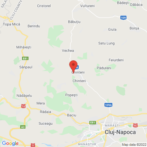 Chinteni, Cluj