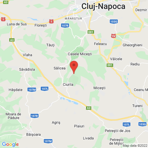 Casele Micesti, Cluj