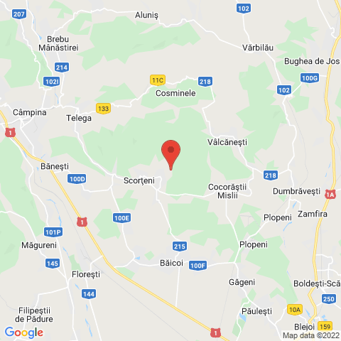 Bordenii Mari, Prahova