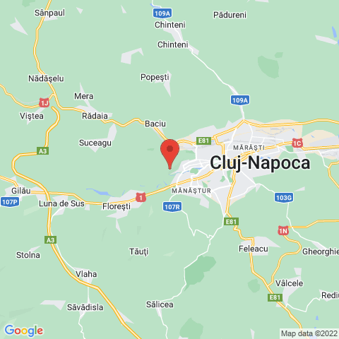 Cluj-Napoca, Cluj