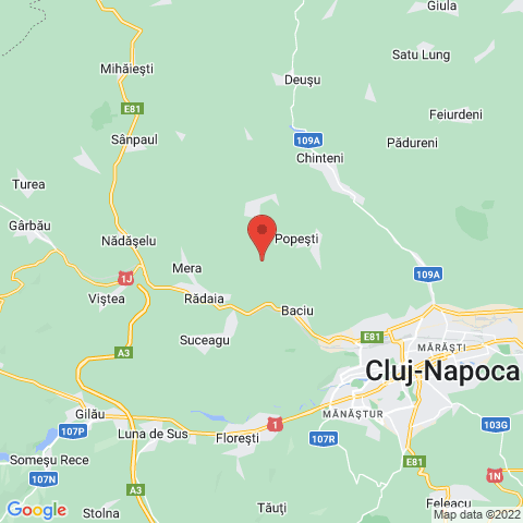 Popesti, Cluj