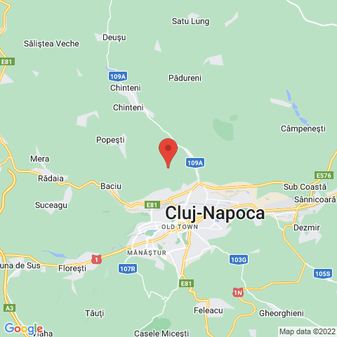 Cluj-Napoca, Cluj