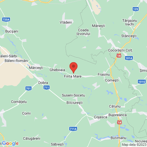 Finta Mare, Dambovita