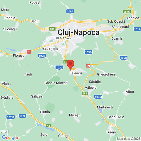 Feleacu, Cluj