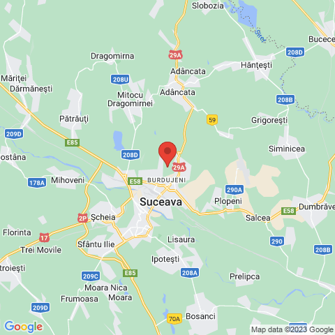 Suceava, Suceava