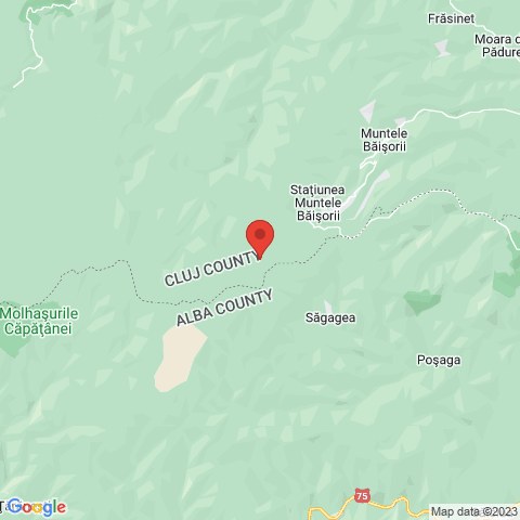 Baisoara, Cluj