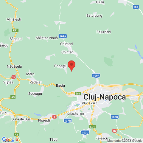 Popesti, Cluj