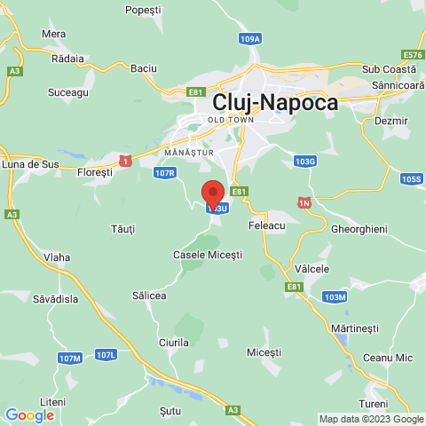 Cluj-Napoca, Cluj