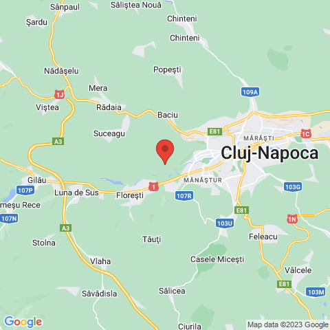 Cluj-Napoca, Cluj