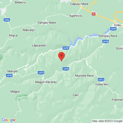 Maguri-Racatau, Cluj