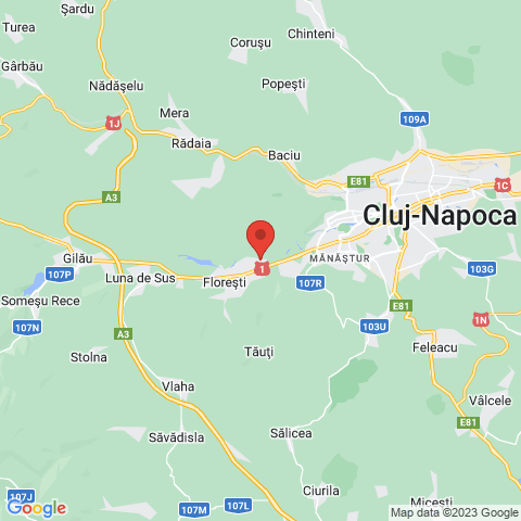 Cluj-Napoca, Cluj