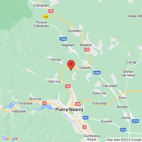 Piatra-Neamt, Neamt