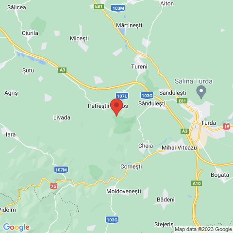 Petrestii de Jos, Cluj