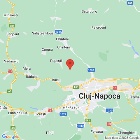 Cluj-Napoca, Cluj