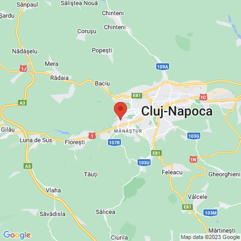 Cluj-Napoca, Cluj